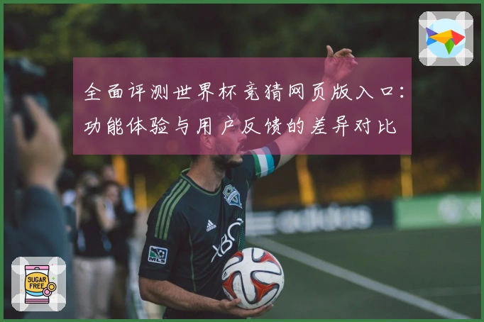 全面评测世界杯竞猜网页版入口：功能体验与用户反馈的差异对比