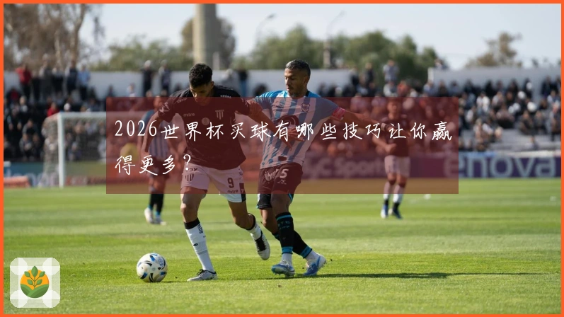2026世界杯买球有哪些技巧让你赢得更多？