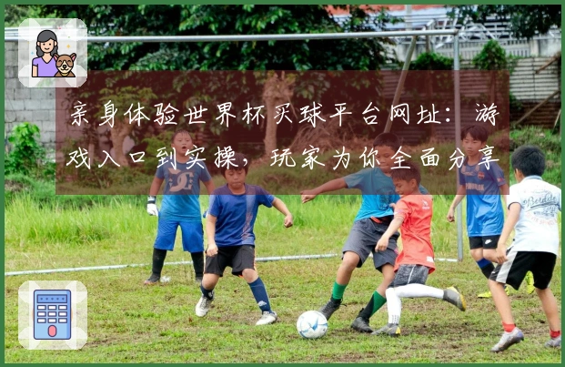 亲身体验世界杯买球平台网址：游戏入口到实操，玩家为你全面分享