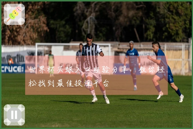 世界杯买球入口经验分享，教你轻松找到最佳投注平台