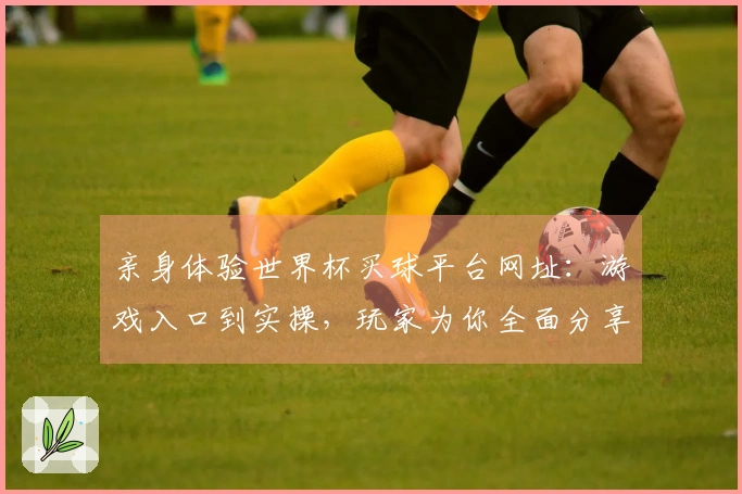 亲身体验世界杯买球平台网址：游戏入口到实操，玩家为你全面分享