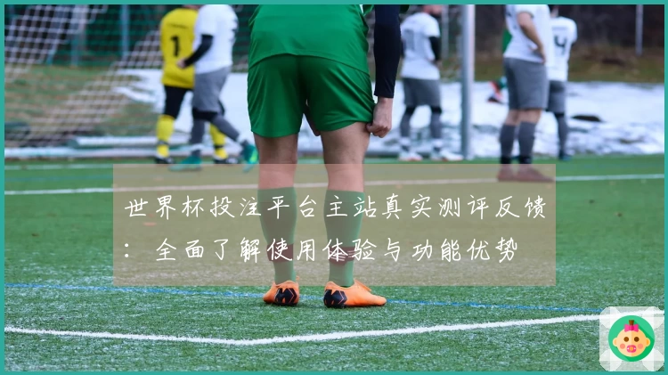 世界杯投注平台主站真实测评反馈：全面了解使用体验与功能优势