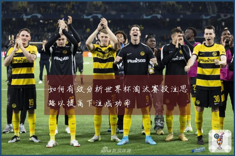 如何有效分析世界杯淘汰赛投注思路以提高下注成功率