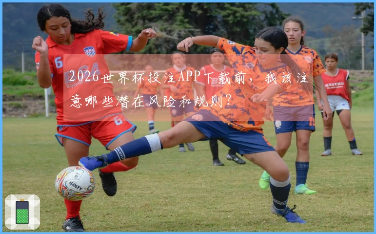 2026世界杯投注APP下载前，我该注意哪些潜在风险和规则？