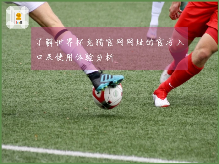 了解世界杯竞猜官网网址的官方入口及使用体验分析