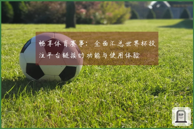畅享体育赛事：全面汇总世界杯投注平台链接的功能与使用体验