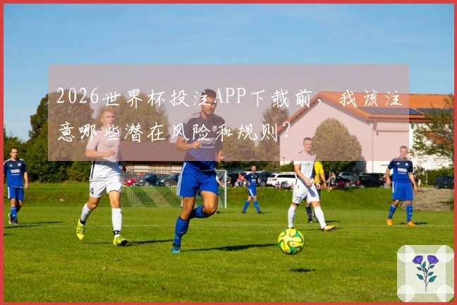 2026世界杯投注APP下载前，我该注意哪些潜在风险和规则？