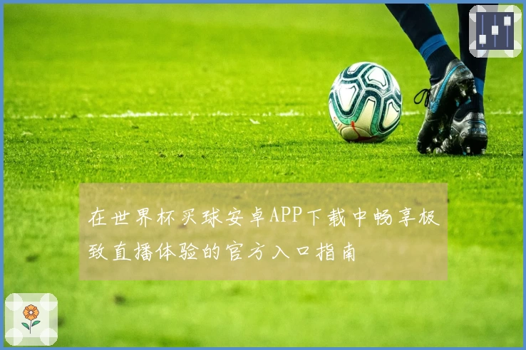 在世界杯买球安卓APP下载中畅享极致直播体验的官方入口指南