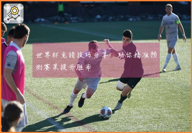 世界杯竞猜技巧分享，助你精准预测赛果提升胜率
